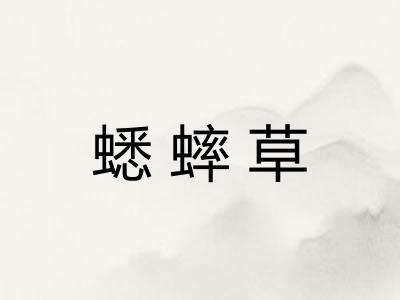 蟋蟀草 蟋蟀草