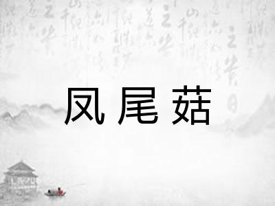 凤尾菇