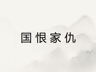 国恨家仇 国恨家仇