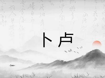 卜卢