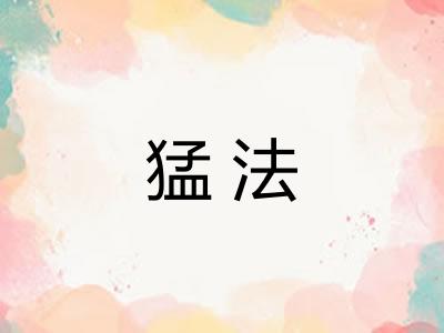 猛法