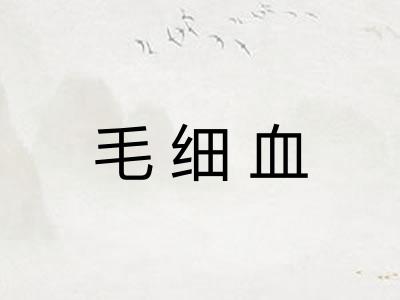 毛细血
