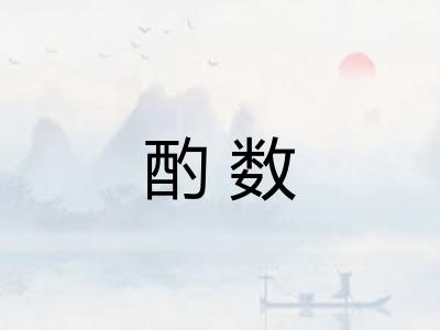 酌数