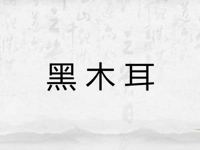 黑木耳 黑木耳