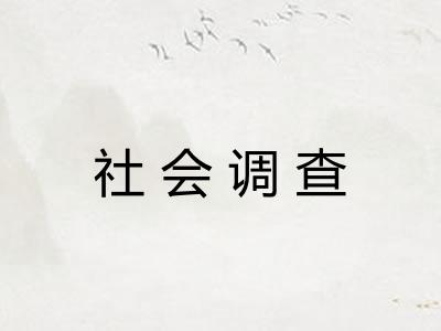 社会调查 社会调查
