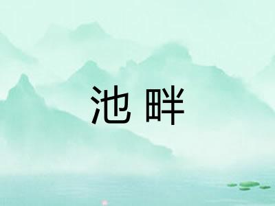 池畔 池畔