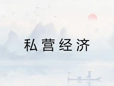 私营经济 私营经济