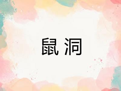 鼠洞