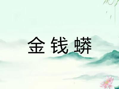 金钱蟒 金钱蟒
