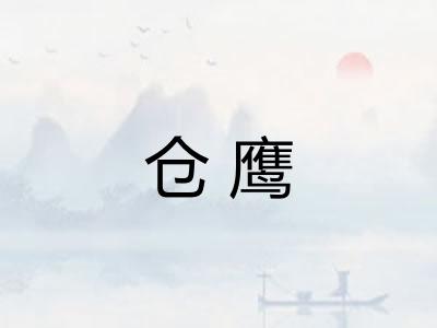 仓鹰
