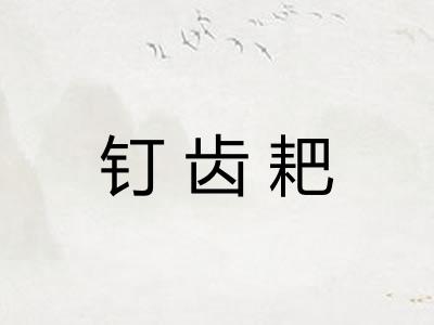 钉齿耙