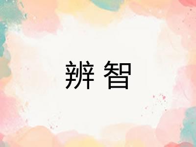 辨智