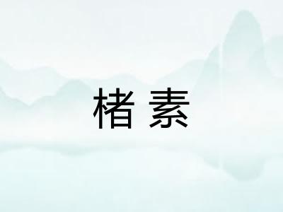 楮素 楮素
