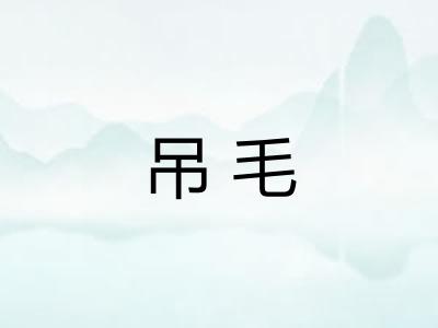 吊毛