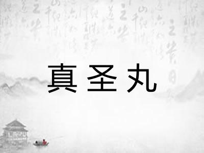 真圣丸 真圣丸