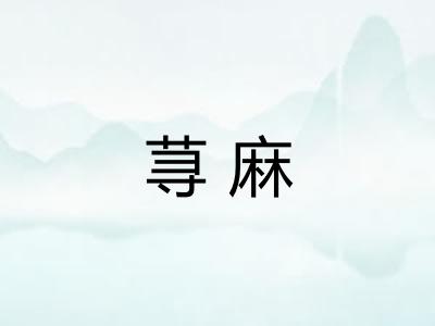 荨麻