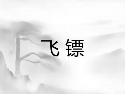 飞镖