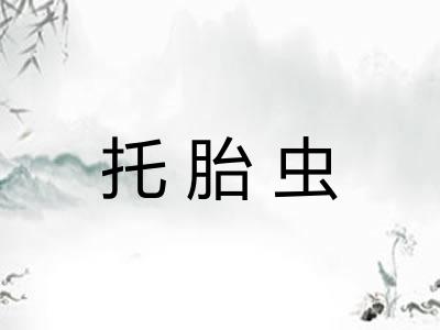托胎虫