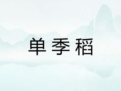 单季稻