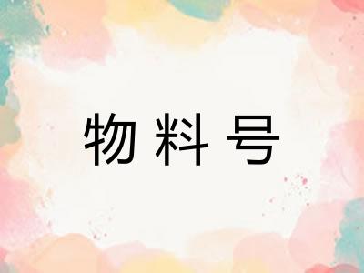 物料号
