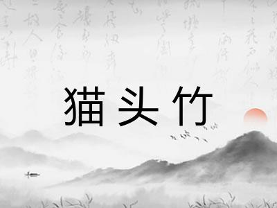 猫头竹 猫头竹
