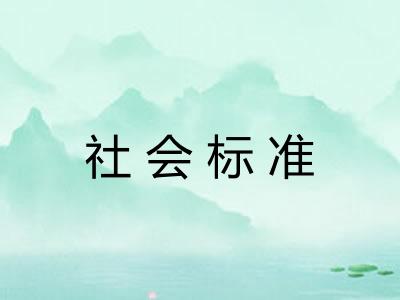 社会标准
