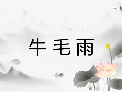 牛毛雨