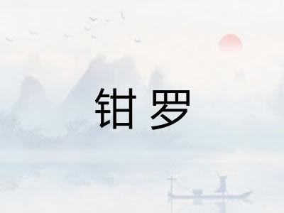 钳罗