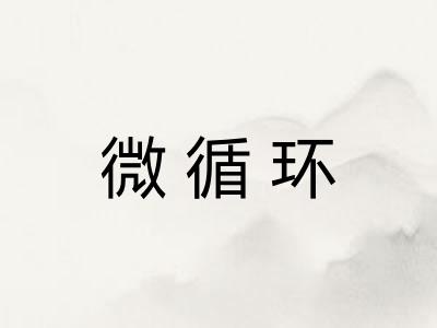 微循环