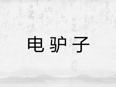 电驴子