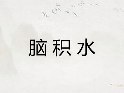 脑积水 脑积水