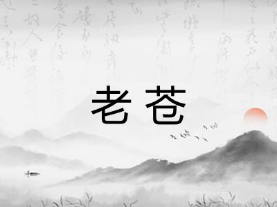 老苍