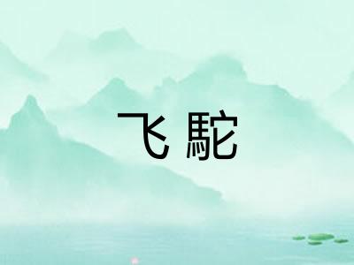 飞駝