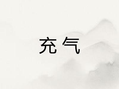 充气 充气