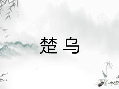 楚乌