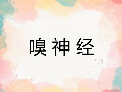 嗅神经