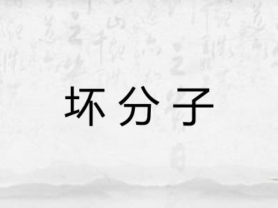 坏分子 坏分子