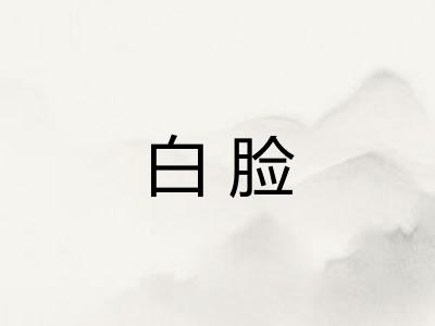 白脸