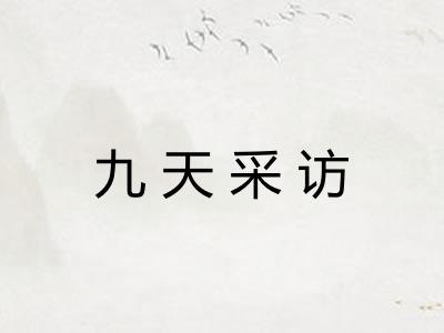 九天采访