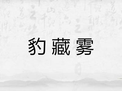 豹藏雾 豹藏雾