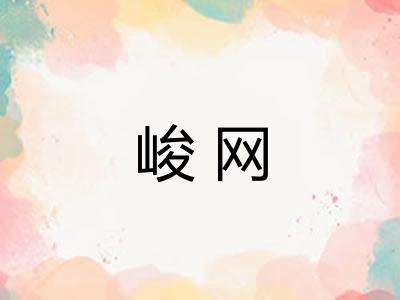 峻网