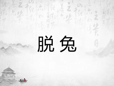 脱兔