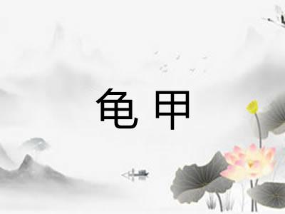 龟甲