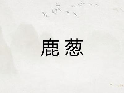 鹿葱 鹿葱
