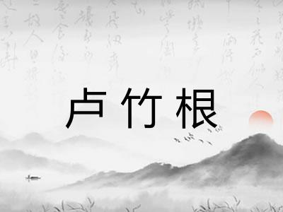 卢竹根 卢竹根