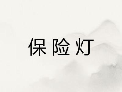 保险灯 保险灯
