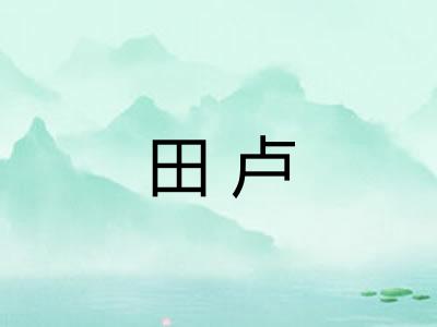 田卢