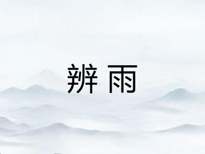 辨雨