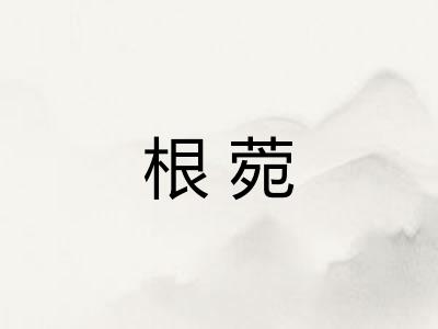 根菀 根菀