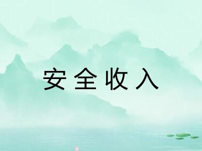 安全收入